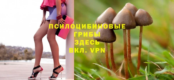 прущая мука Верея